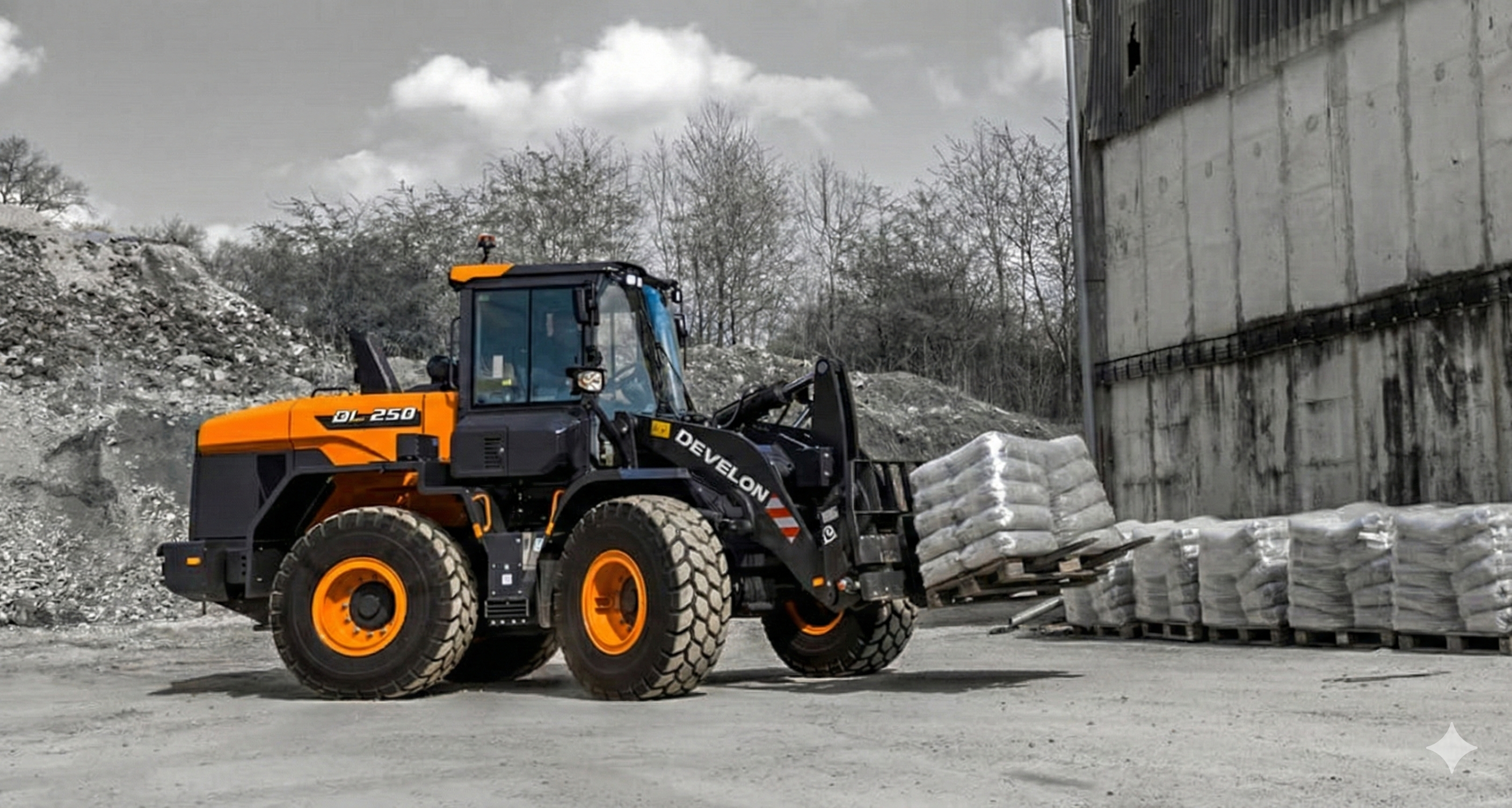 Cargadores Frontales DEVELON Imagen